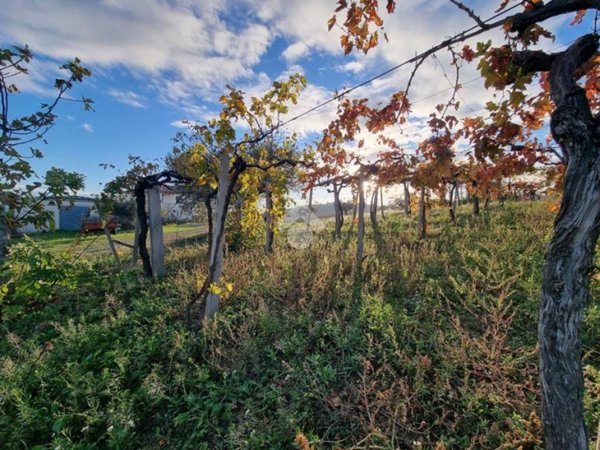 terreno agricolo in vendita a Morro d'Oro in zona Case di Bonaventura