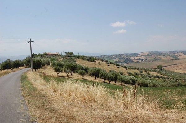 capannone in vendita a Morro d'Oro in zona Torrenera