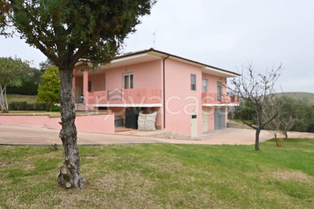 casa indipendente in vendita a Morro d'Oro in zona Case di Bonaventura