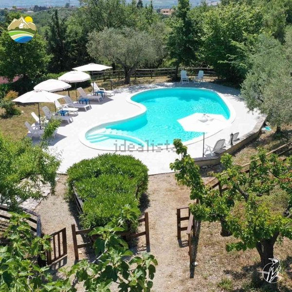 casa indipendente in vendita a Morro d'Oro