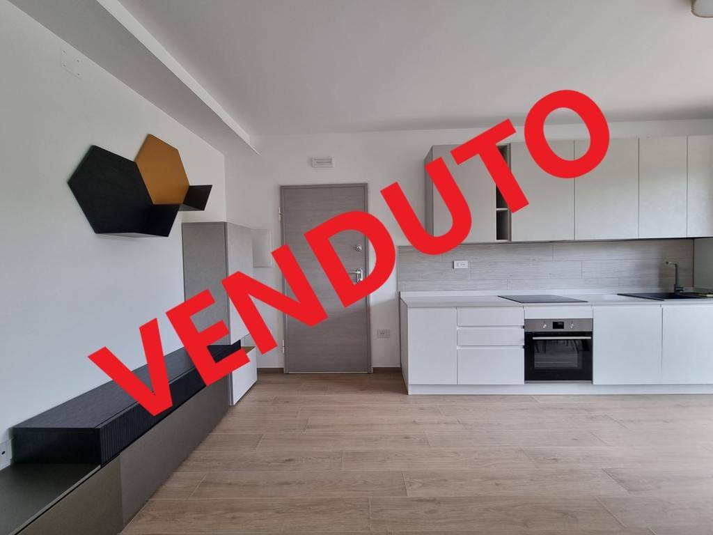 appartamento in vendita a Morro d'Oro in zona Pagliare