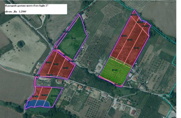 terreno agricolo in vendita a Morro d'Oro