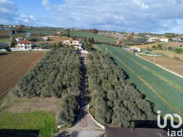 casa indipendente in vendita a Morro d'Oro in zona Pagliare