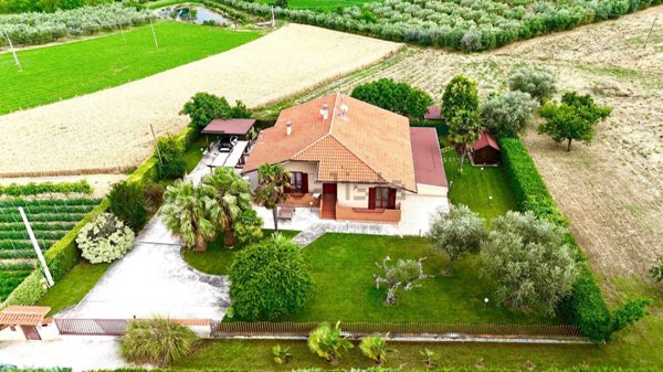 casa indipendente in vendita a Morro d'Oro