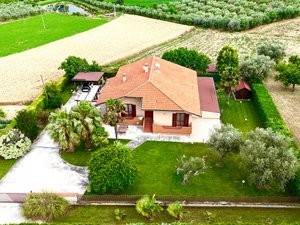 casa indipendente in vendita a Morro d'Oro