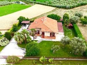 casa indipendente in vendita a Morro d'Oro