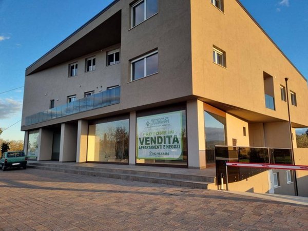 appartamento in vendita a Morro d'Oro in zona Case di Bonaventura