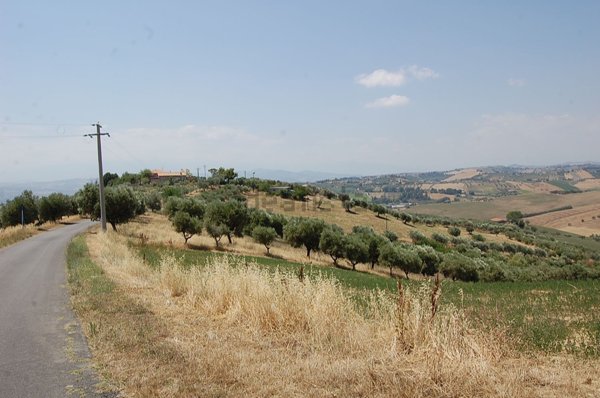 terreno agricolo in vendita a Morro d'Oro in zona Torrenera