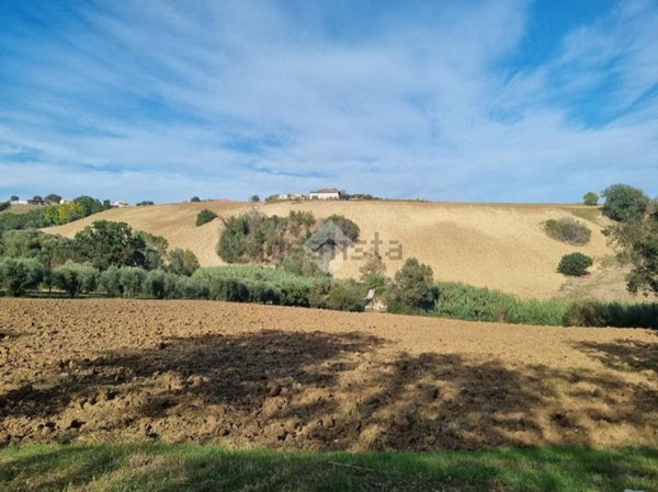terreno agricolo in vendita a Morro d'Oro in zona Pagliare