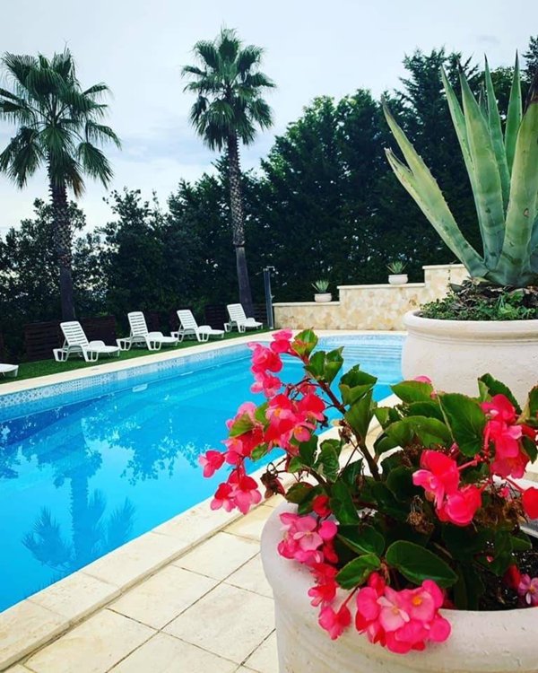 casa indipendente in vendita a Morro d'Oro