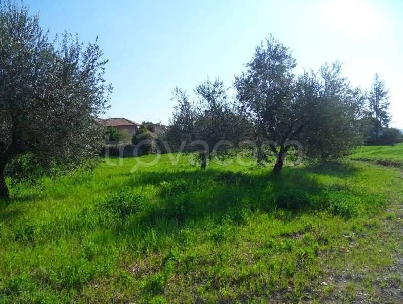 terreno in vendita a Morro d'Oro in zona Pagliare