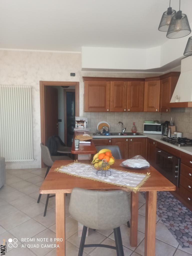 appartamento in vendita a Morro d'Oro