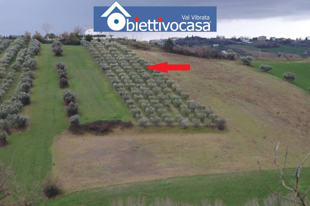 terreno agricolo in vendita a Mosciano Sant'Angelo