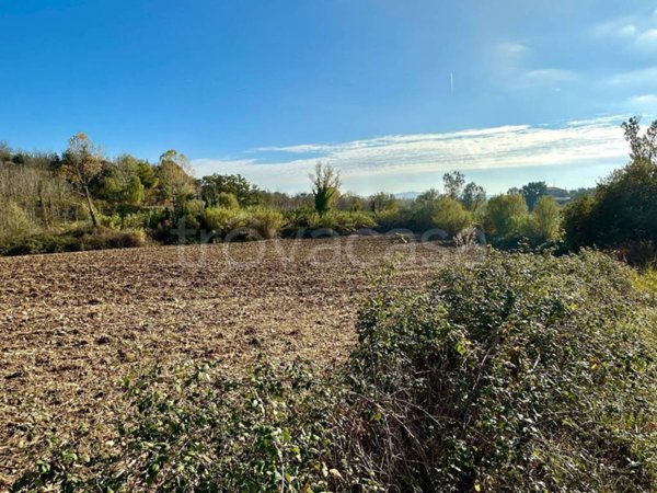 terreno agricolo in vendita a Mosciano Sant'Angelo