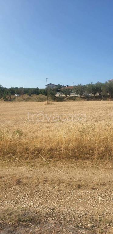 terreno agricolo in vendita a Mosciano Sant'Angelo in zona Montone