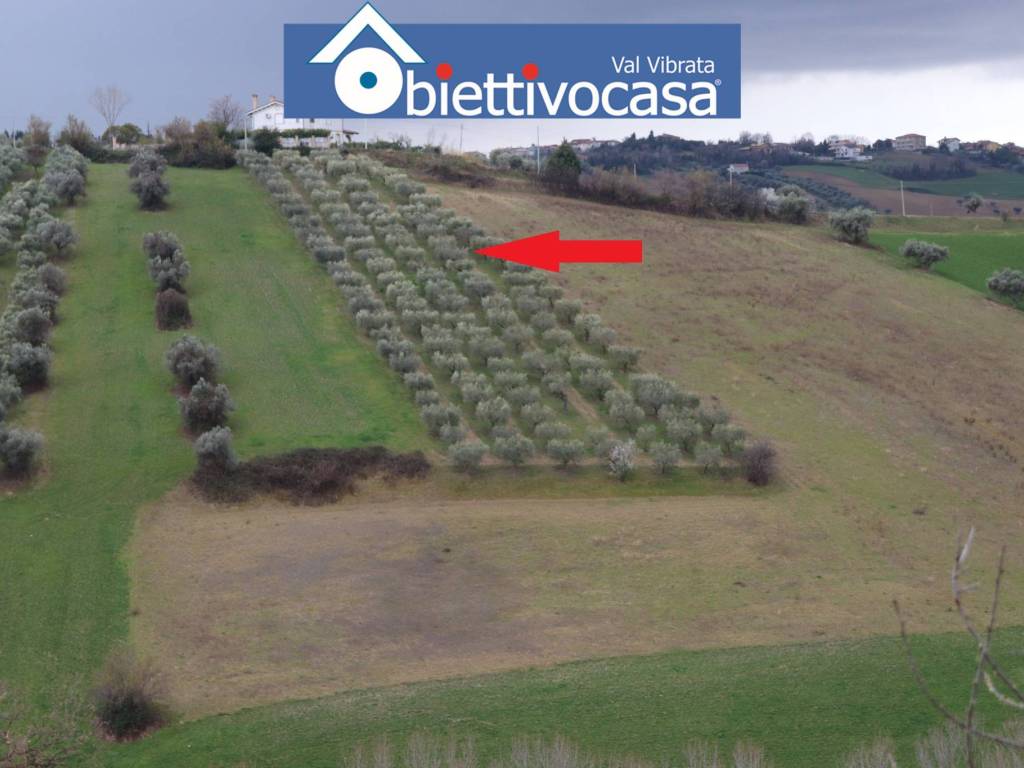 terreno agricolo in vendita a Mosciano Sant'Angelo