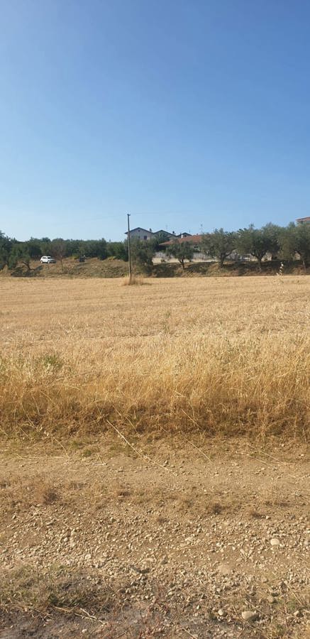 terreno agricolo in vendita a Mosciano Sant'Angelo in zona Montone