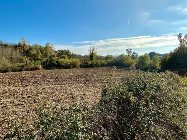 terreno agricolo in vendita a Mosciano Sant'Angelo