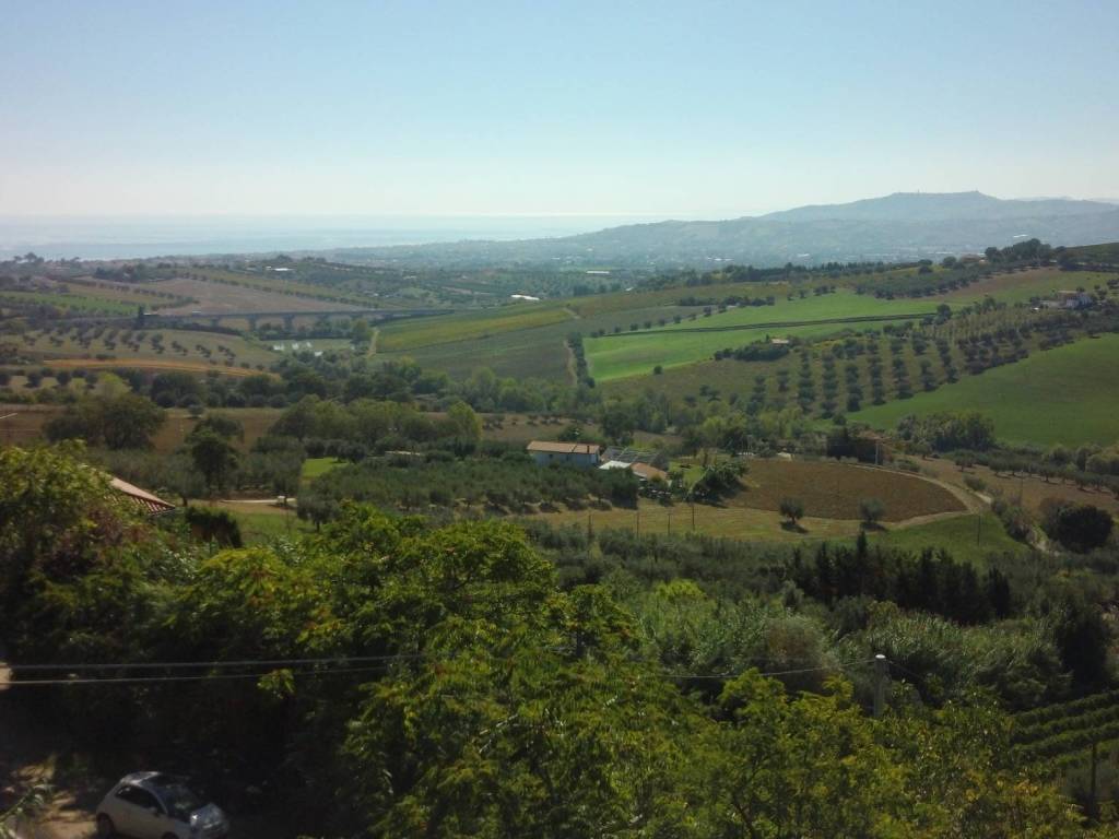 terreno agricolo in vendita a Mosciano Sant'Angelo