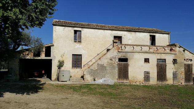 esavano in vendita a Mosciano Sant'Angelo