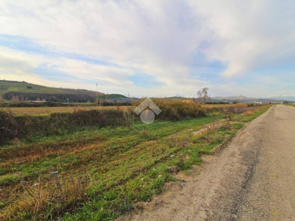 terreno agricolo in vendita a Mosciano Sant'Angelo