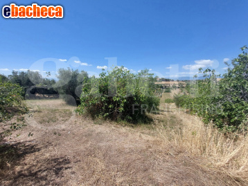 casa indipendente in vendita a Mosciano Sant'Angelo