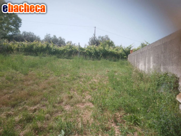 casa indipendente in vendita a Mosciano Sant'Angelo