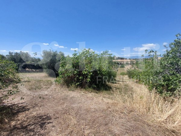 casa indipendente in vendita a Mosciano Sant'Angelo