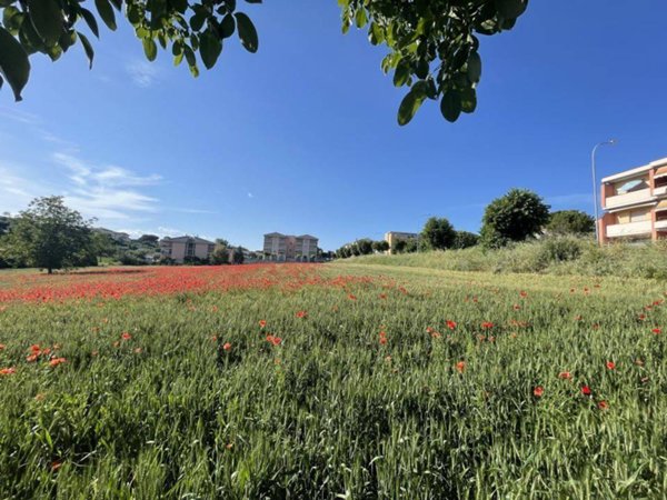 casa indipendente in vendita a Mosciano Sant'Angelo