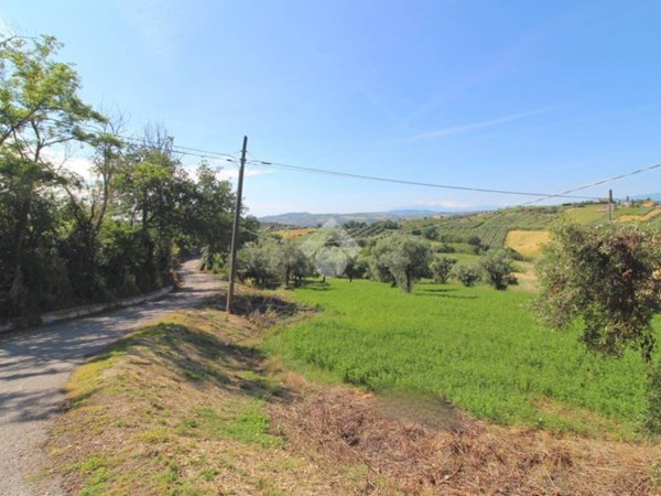 terreno agricolo in vendita a Mosciano Sant'Angelo in zona Montone