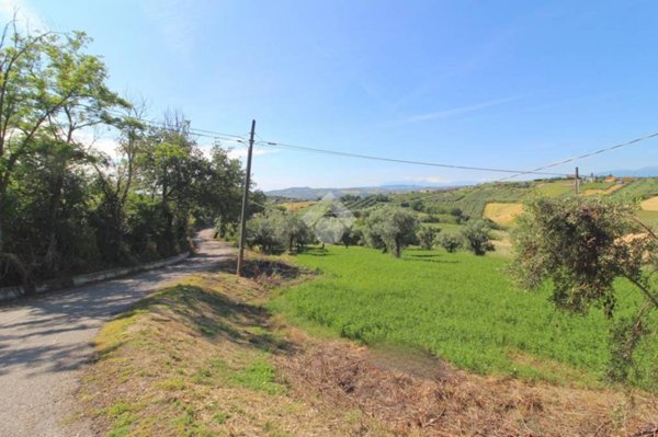 immagine annuncio 0 di 8