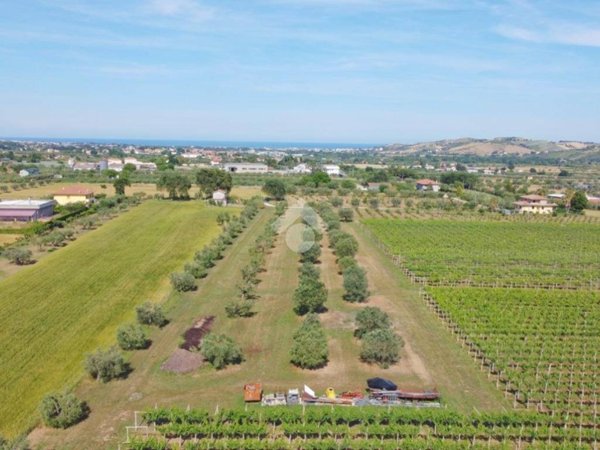 terreno agricolo in vendita a Mosciano Sant'Angelo