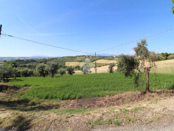 terreno agricolo in vendita a Mosciano Sant'Angelo in zona Montone