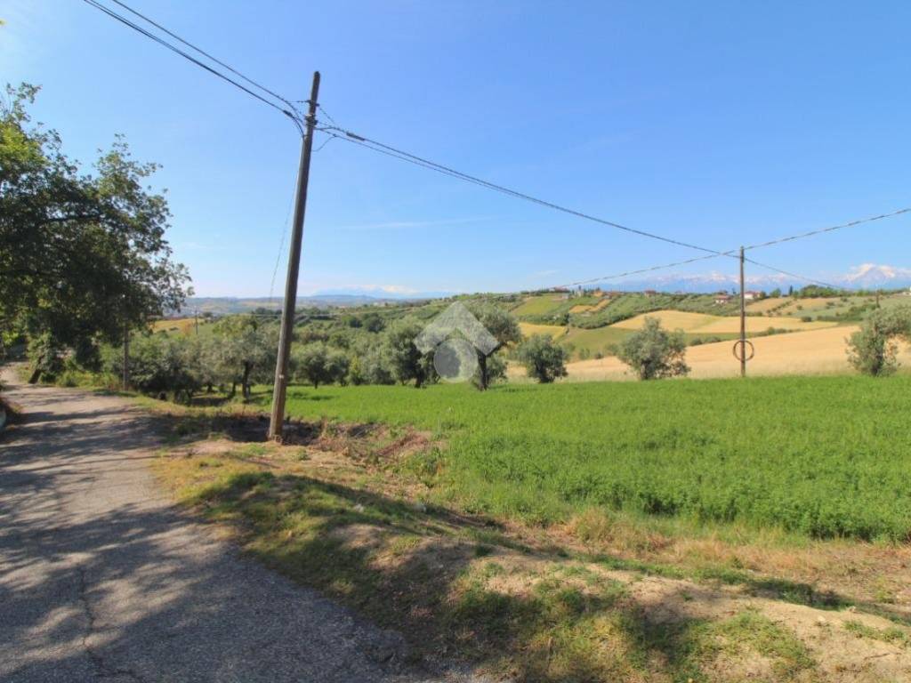 terreno agricolo in vendita a Mosciano Sant'Angelo in zona Montone