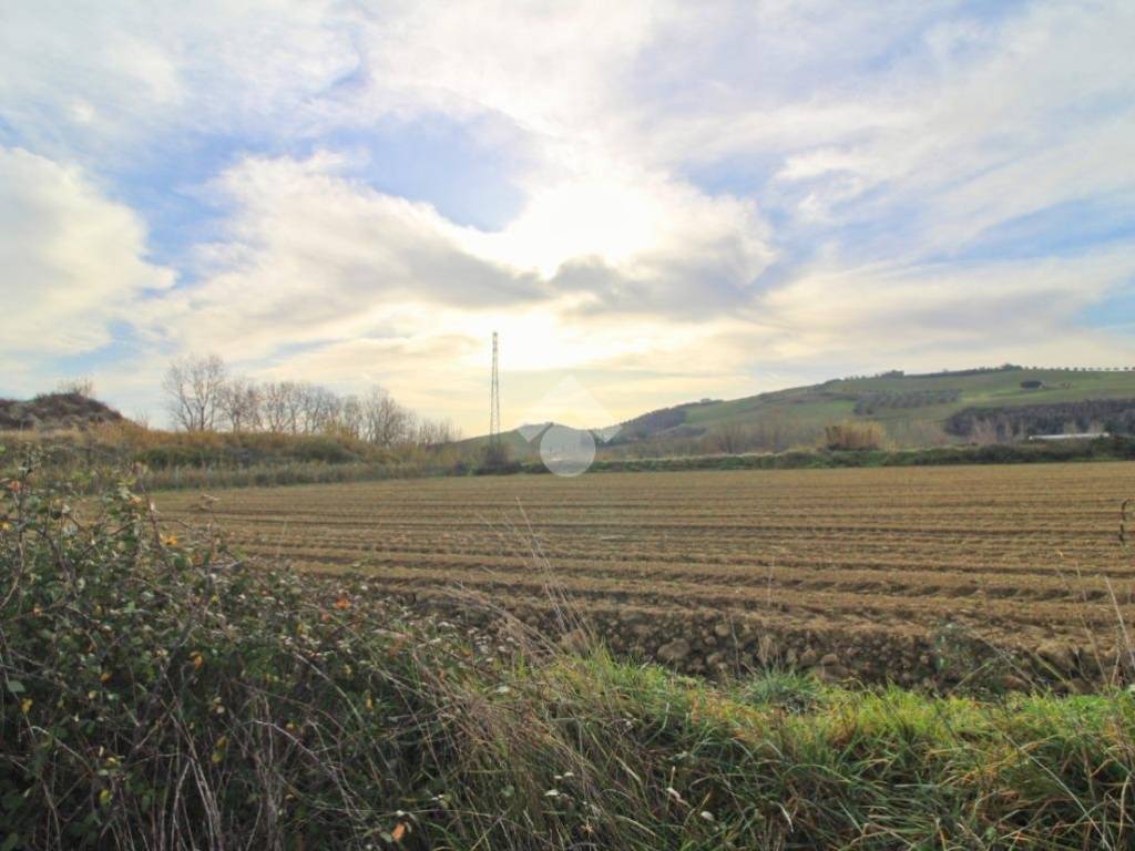 terreno agricolo in vendita a Mosciano Sant'Angelo