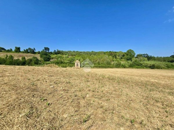 terreno agricolo in vendita a Mosciano Sant'Angelo