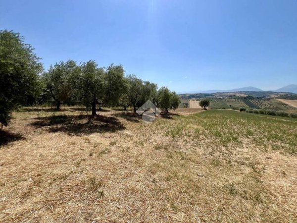 terreno agricolo in vendita a Mosciano Sant'Angelo in zona Collepietro