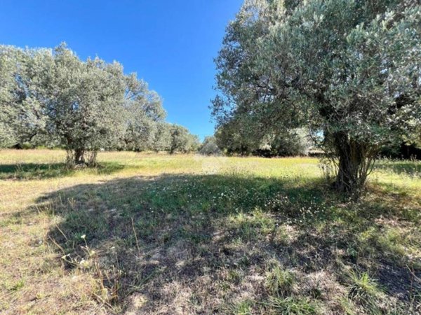 terreno agricolo in vendita a Mosciano Sant'Angelo