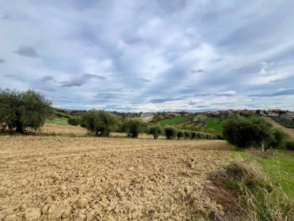 terreno agricolo in vendita a Mosciano Sant'Angelo