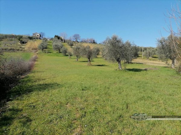 rudere in vendita a Mosciano Sant'Angelo