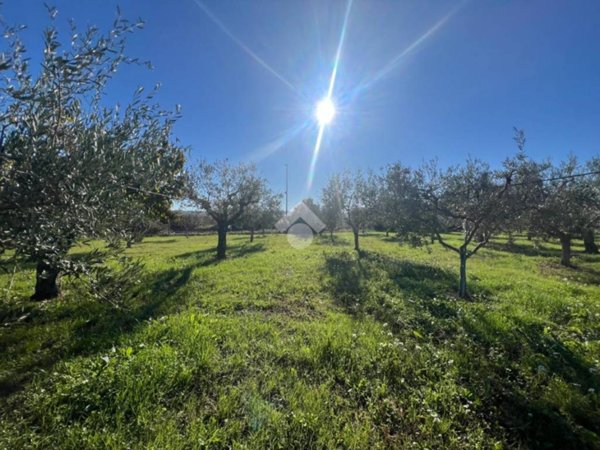 terreno agricolo in vendita a Mosciano Sant'Angelo