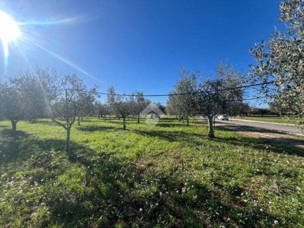 terreno agricolo in vendita a Mosciano Sant'Angelo