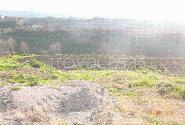 terreno agricolo in vendita a Mosciano Sant'Angelo