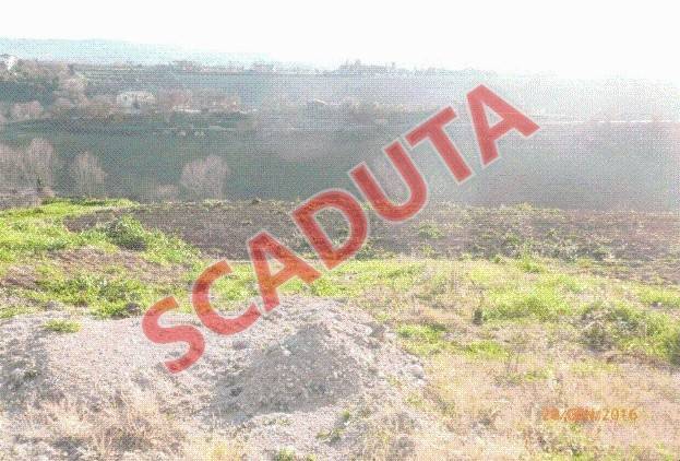 terreno agricolo in vendita a Mosciano Sant'Angelo