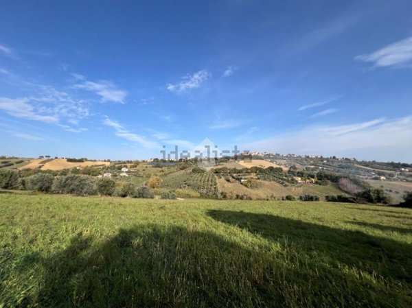 terreno agricolo in vendita a Mosciano Sant'Angelo