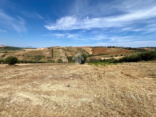 terreno agricolo in vendita a Mosciano Sant'Angelo in zona Collepietro