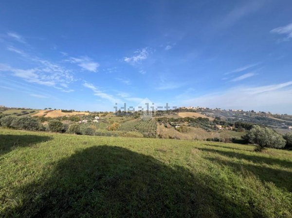 terreno agricolo in vendita a Mosciano Sant'Angelo