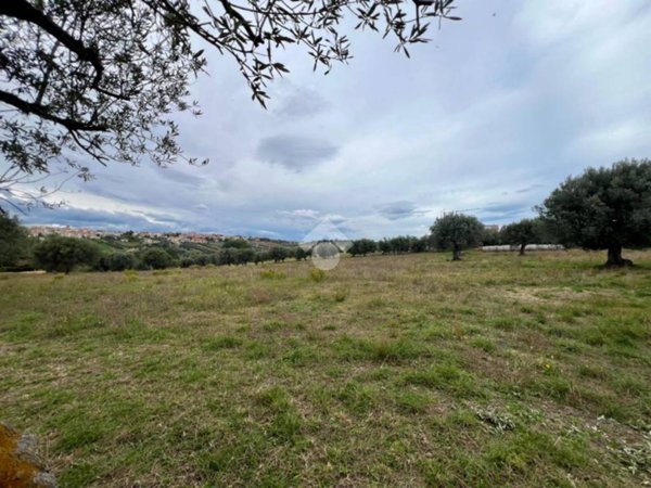 terreno in vendita a Mosciano Sant'Angelo
