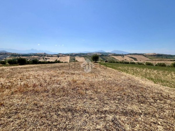 terreno agricolo in vendita a Mosciano Sant'Angelo in zona Collepietro