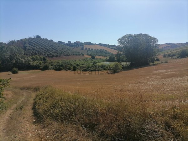 rudere in vendita a Mosciano Sant'Angelo